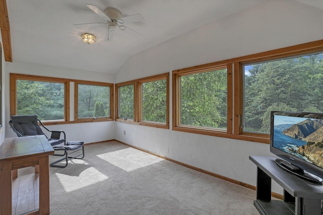 5482 Blacklick-Eastern Rd NW, Pickerington, OH 43147 - photo 52