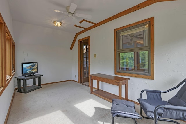 5482 Blacklick-Eastern Rd NW, Pickerington, OH 43147 - photo 53