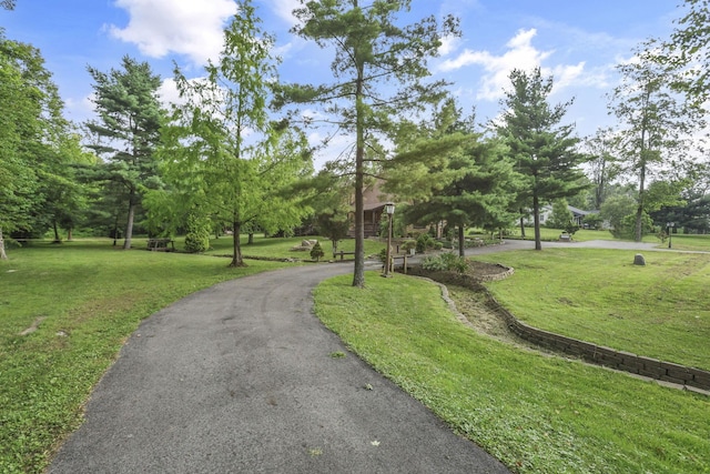 5482 Blacklick-Eastern Rd NW, Pickerington, OH 43147 - photo 96