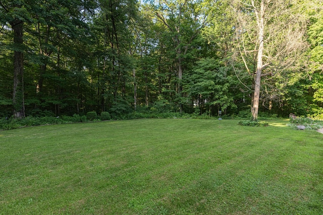 3072 Fowler Rd, Springfield, OH 45502 - photo 38