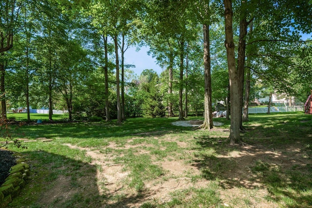 4224 Eagle Head Dr, Columbus, OH 43230 - view of yard