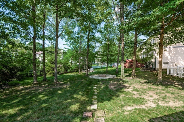 4224 Eagle Head Dr, Columbus, OH 43230 - view of yard