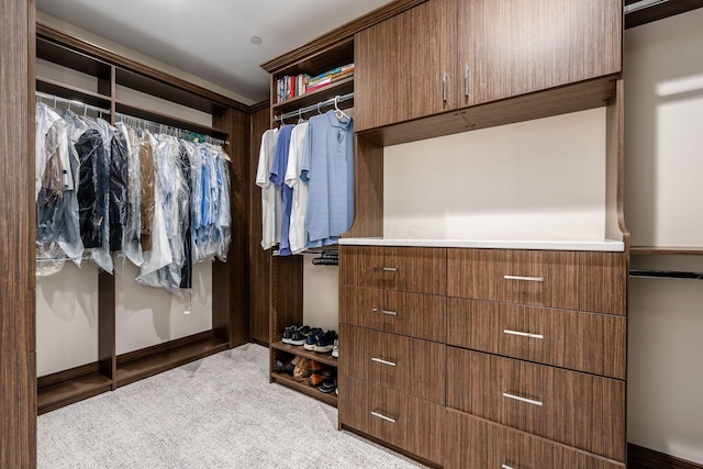 250 W Spring St Unit 626, Columbus, OH 43215 - spacious closet with carpet flooring