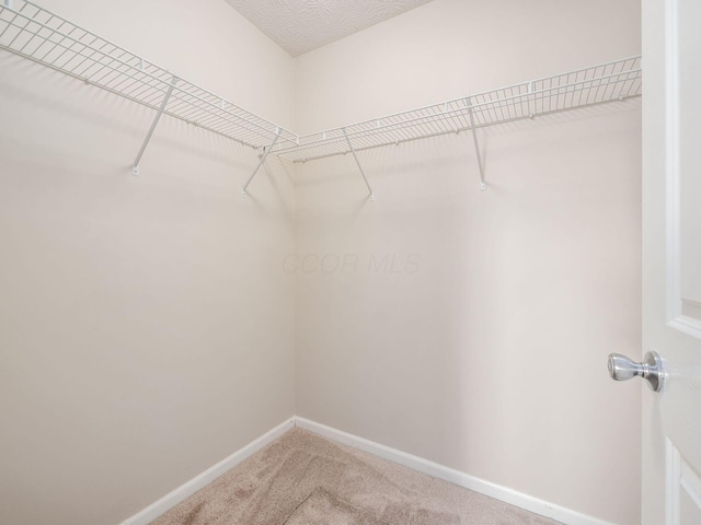 2652 Tealwater Trail Dr, Columbus, OH 43207 - photo 20