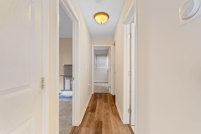 893 Aladdin Ct, Columbus, OH 43207 - hall featuring wood finished floors and baseboards