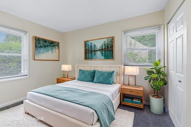 893 Aladdin Ct, Columbus, OH 43207 - bedroom with carpet flooring, multiple windows, and a closet