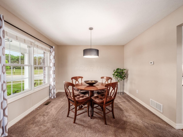 7323 Blue Holly Dr, Lewis Center, OH 43035 - photo 9