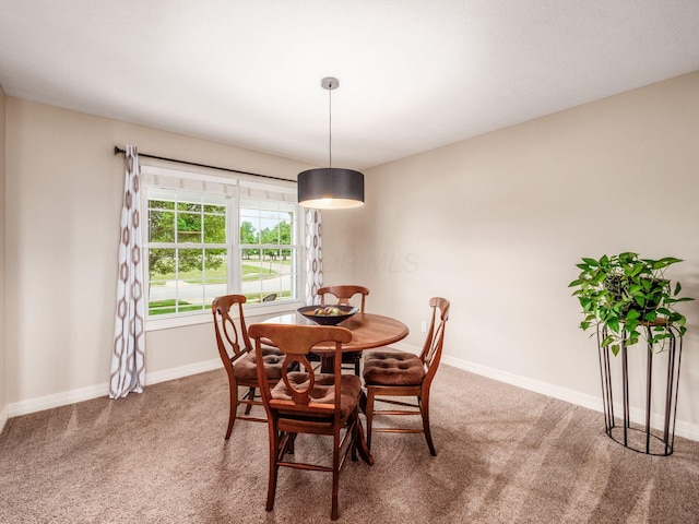 7323 Blue Holly Dr, Lewis Center, OH 43035 - photo 10