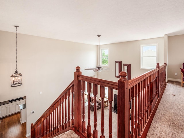 7323 Blue Holly Dr, Lewis Center, OH 43035 - photo 35