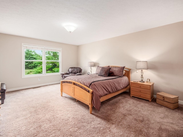 7323 Blue Holly Dr, Lewis Center, OH 43035 - photo 27