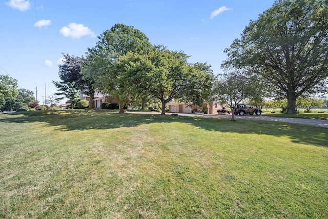 3688 Gooding Rd, Marion, OH 43302 - photo 52