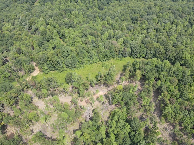 0 Haney Rd, Wheelersburg, OH 45694 - photo 5