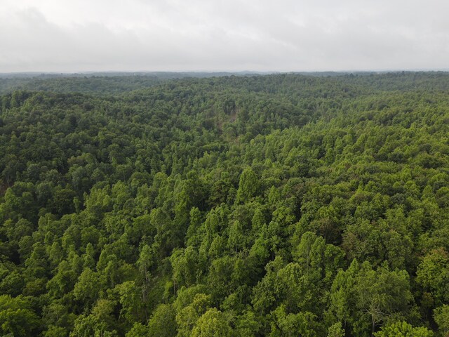 0 Haney Rd, Wheelersburg, OH 45694 - photo 9