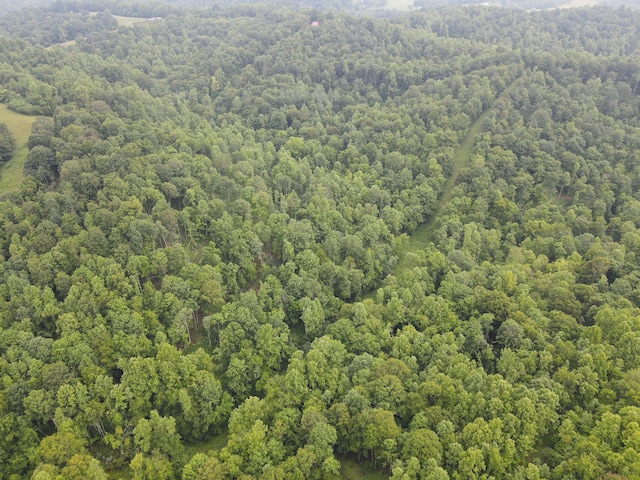0 Haney Rd, Wheelersburg, OH 45694 - photo 14
