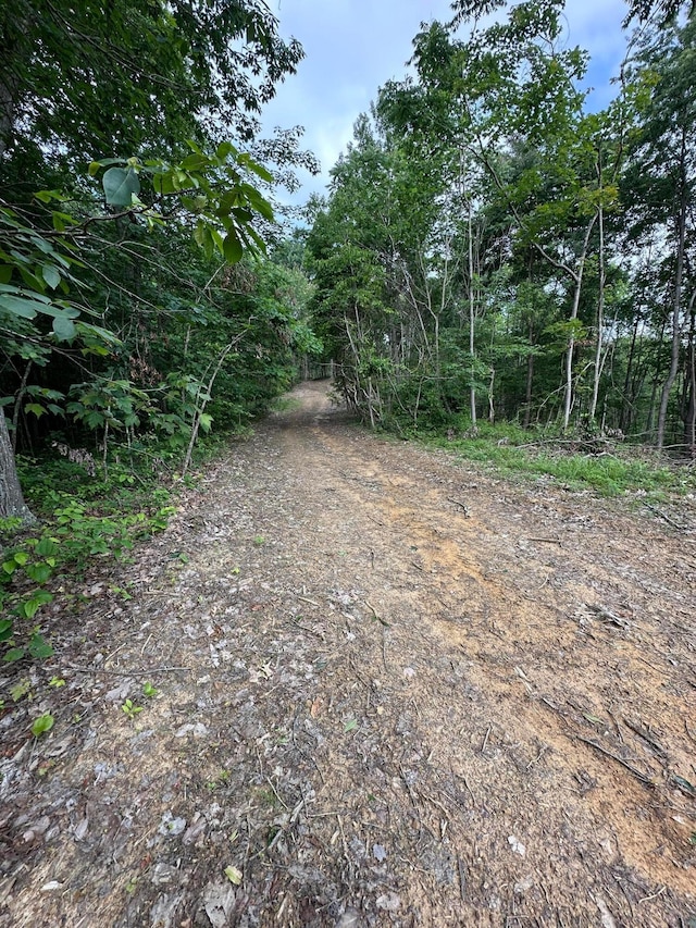 0 Haney Rd, Wheelersburg, OH 45694 - photo 22
