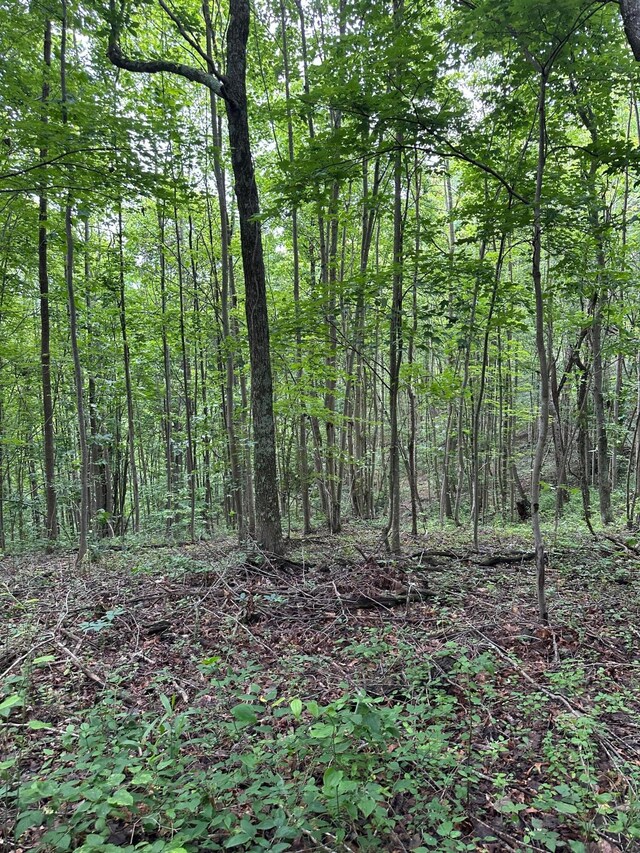 0 Haney Rd, Wheelersburg, OH 45694 - photo 21