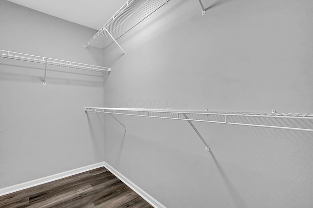 406 Aarika Dr, West Jefferson, OH 43162 - walk in closet featuring dark wood-style floors