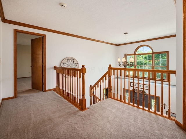 7941 Steitz Rd, Powell, OH 43065 - photo 15