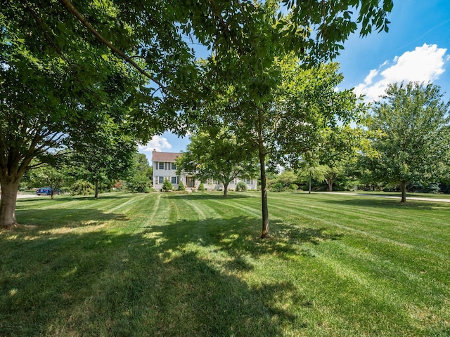 7941 Steitz Rd, Powell, OH 43065 - photo 23