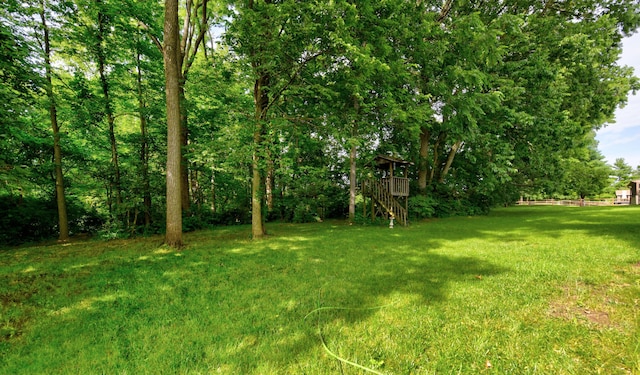 10010 Oxford Dr, Pickerington, OH 43147 - photo 52