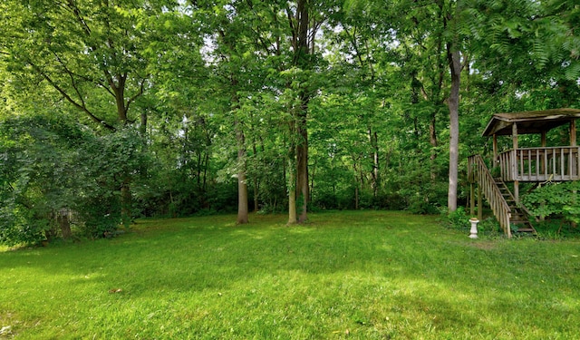 10010 Oxford Dr, Pickerington, OH 43147 - photo 53