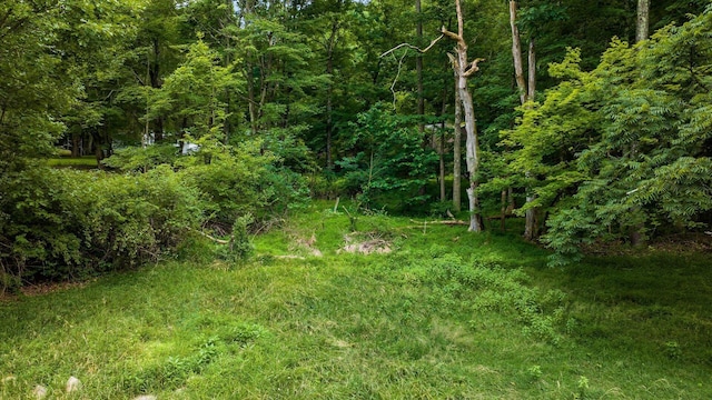 661 Welsh Ln NE, Granville, OH 43023 - photo 4