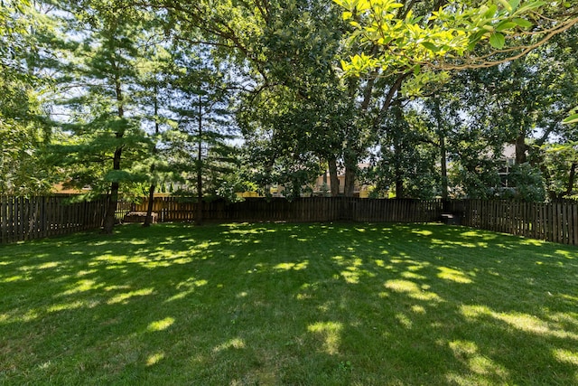 1185 E College Ave, Westerville, OH 43081 - photo 54