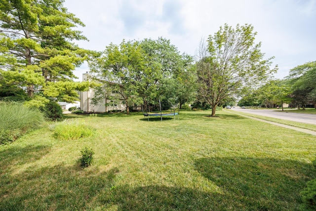 3680 Sugar Loaf Ct, Columbus, OH 43221 - photo 29