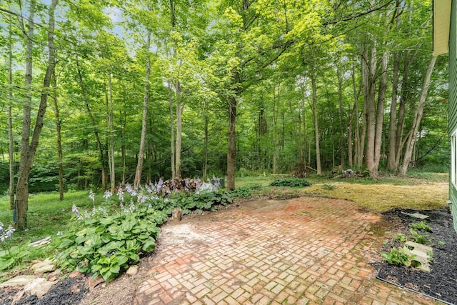 13900 Justin Rd, Utica, OH 43080 - view of patio / terrace with a wooded view