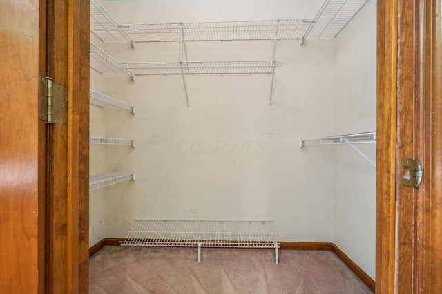 4867 Sarasota Ct, Hilliard, OH 43026 - spacious closet with carpet flooring