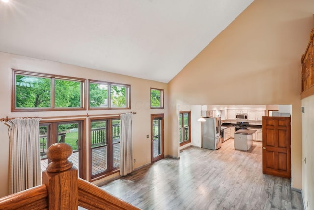 4867 Sarasota Ct, Hilliard, OH 43026 - living room with high vaulted ceiling and light wood-style flooring