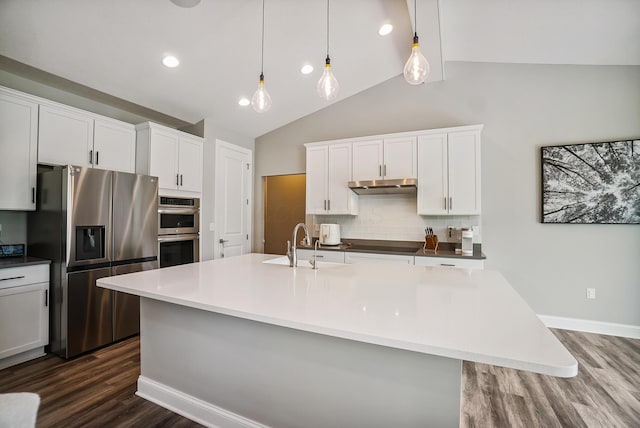 25500 Storms Rd, West Mansfield, OH 43358 - kitchen with stainless steel appliances, under cabinet range hood, vaulted ceiling, tasteful backsplash, and dark wood-style flooring