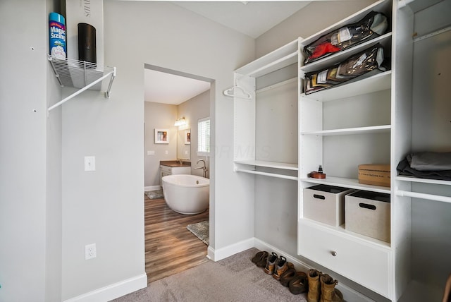 25500 Storms Rd, West Mansfield, OH 43358 - spacious closet featuring carpet floors