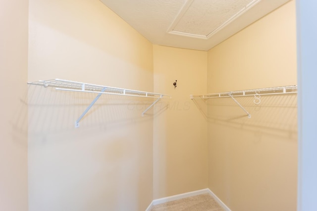 594 Chardonnay Ln, Lewis Center, OH 43035 - walk in closet with carpet flooring