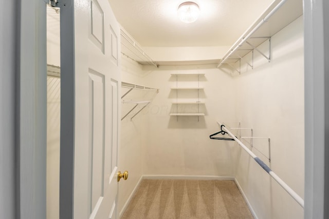 594 Chardonnay Ln, Lewis Center, OH 43035 - walk in closet with light carpet