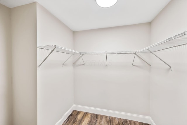 114 N Trine St, Canal Winchester, OH 43110 - walk in closet featuring wood finished floors
