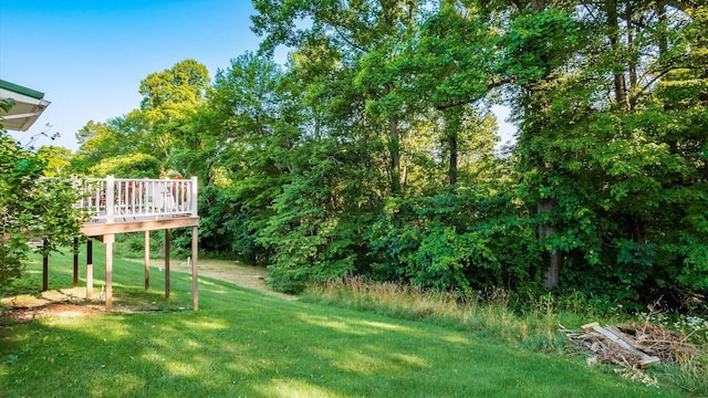 6049 High Hill Rd, Cambridge, OH 43725 - photo 5