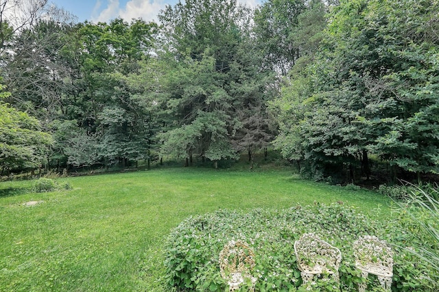 8421 Ransom Rd, Mount Vernon, OH 43050 - view of grassy yard featuring a wooded view