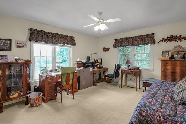 8421 Ransom Rd, Mount Vernon, OH 43050 - office space with carpet floors, healthy amount of natural light, and ceiling fan