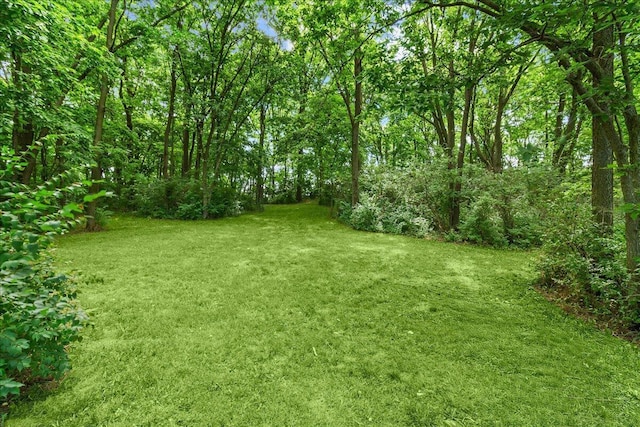 6325 Curren Rd, Prospect, OH 43342 - photo 26