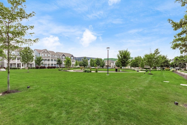 1232 N Grant Ave, Columbus, OH 43201 - view of home's community featuring a yard and a residential view