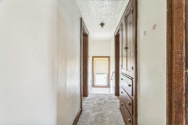 457 Central Ave, Newark, OH 43055 - photo 13