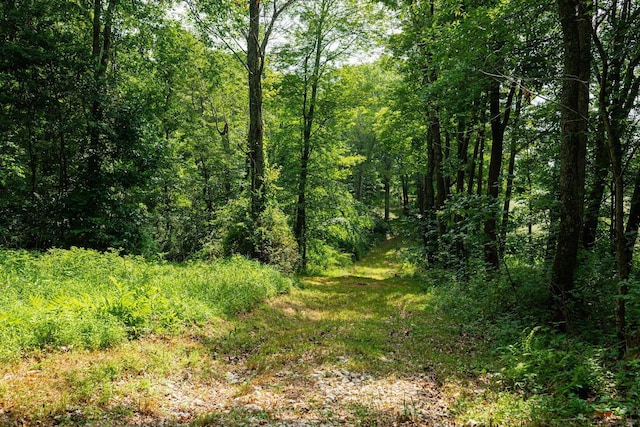 2100 Aspen Rd, Frazeysburg, OH 43822