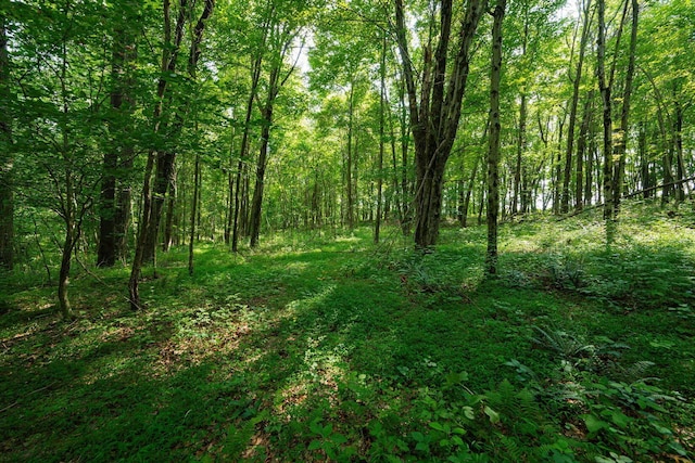 2100 Aspen Rd, Frazeysburg, OH 43822