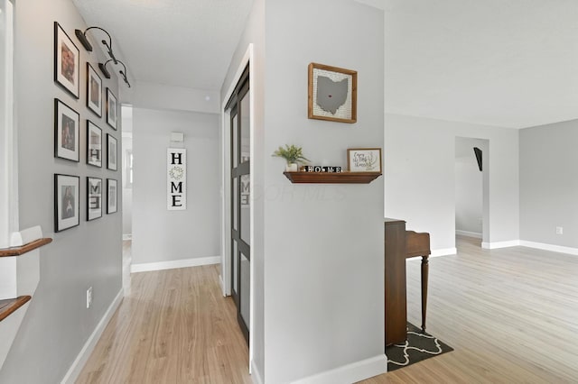 2036 Queensbridge Dr, Columbus, OH 43235 - hallway with light wood finished floors