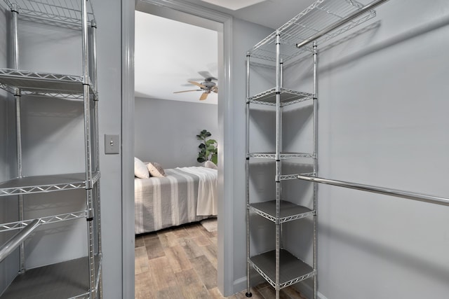 1481 Cliff Ct Unit 58-A, Columbus, OH 43204 - walk in closet featuring wood finished floors and ceiling fan