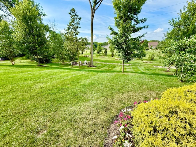 2000 Forestview Ln, Delaware, OH 43015 - view of green lawn