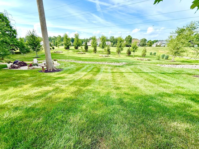 2000 Forestview Ln, Delaware, OH 43015 - view of grassy yard