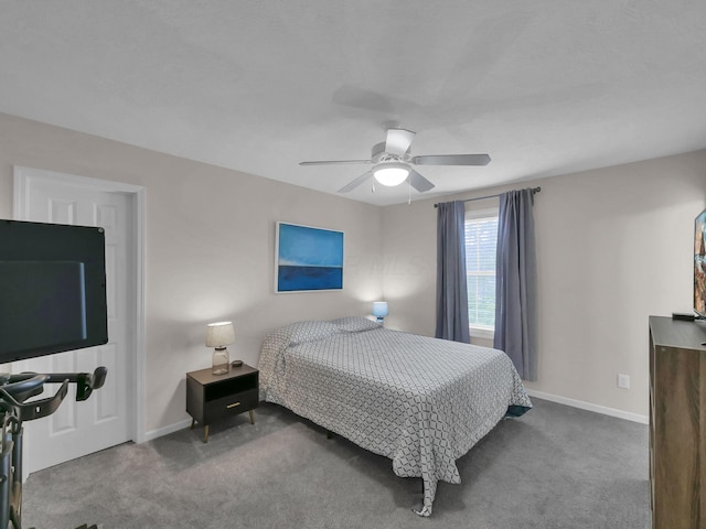 1235 Shagbark Rd, Columbus, OH 43230 - bedroom with carpet flooring and a ceiling fan