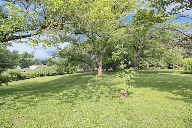 2399 Arabelle Dr NE, Lancaster, OH 43130 - view of green lawn